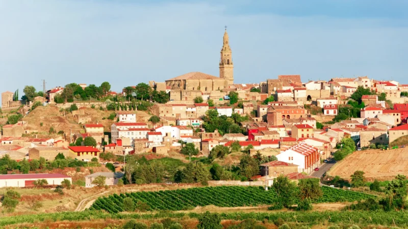 Hilltop village of Briones with its church tower above the vineyards, La Rioja, Spain