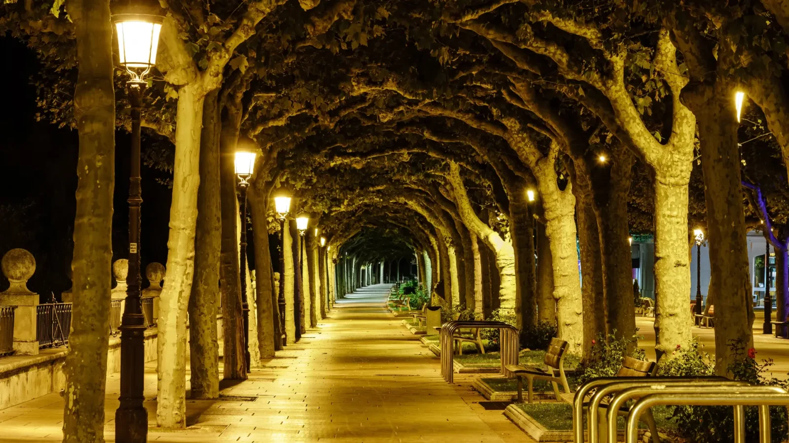 A lamplit tree-lined avenue in Burgos at dusk, Castilla y León, Spain