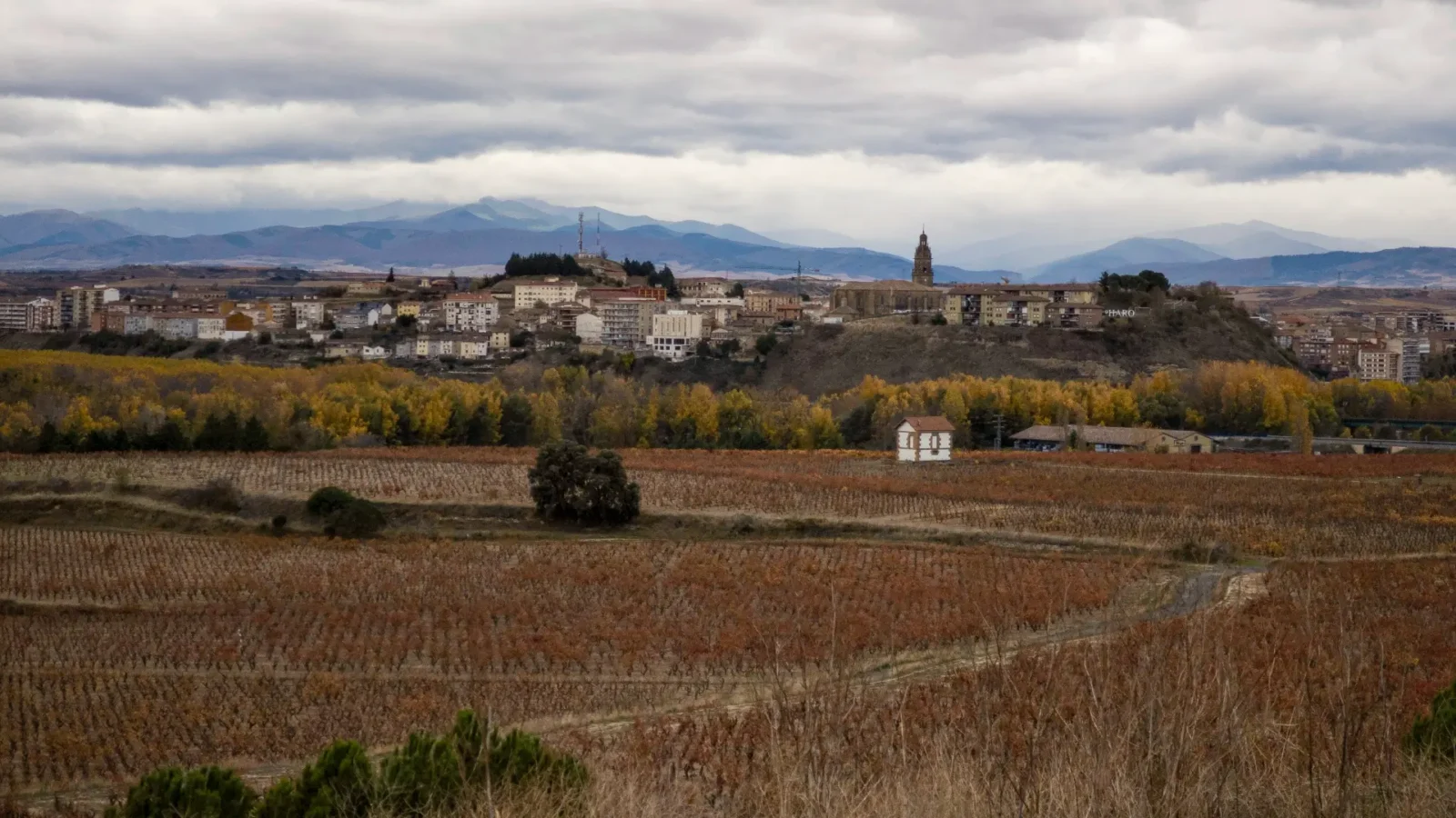 Calahorra on its hill above the fields of the Ebro valley, La Rioja, Spain