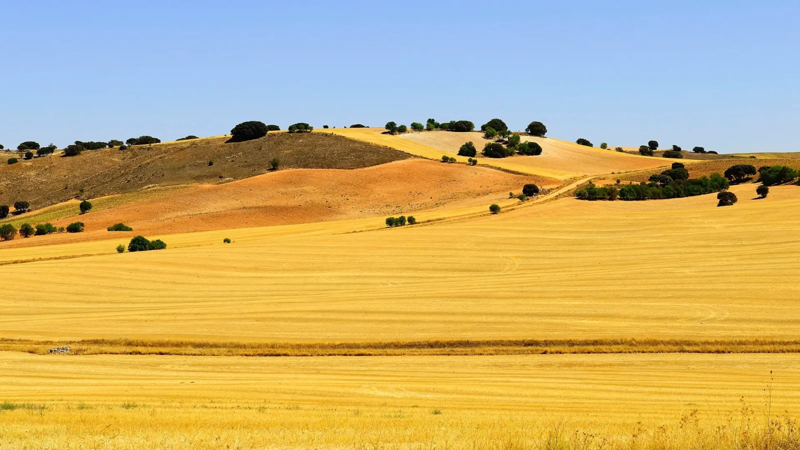 Empty plain of La Mancha, Castilla-La Mancha, Spain