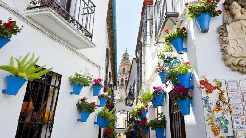The Calleja de las Flores in Córdoba, Andalucía, Spain