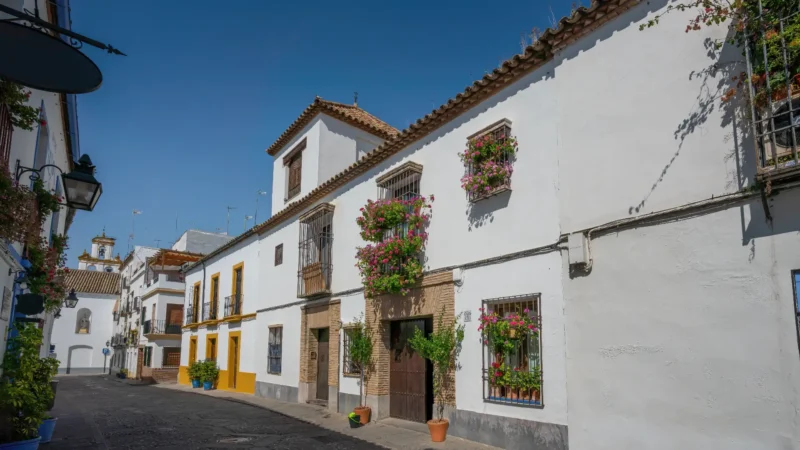 A flower-filled street in the San Basilio quarter of Córdoba, Andalucía, Spain