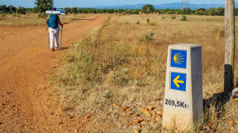A waymarker on the Camino de Santiago crossing the plains