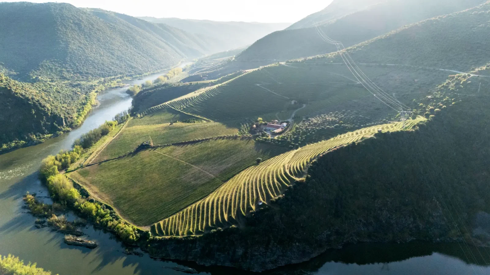 The Duero river winding past terraced vineyards