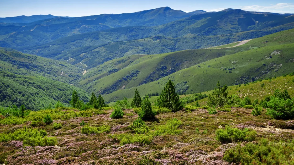 Green slopes of the Sierra de la Demanda above Ezcaray, La Rioja, Spain