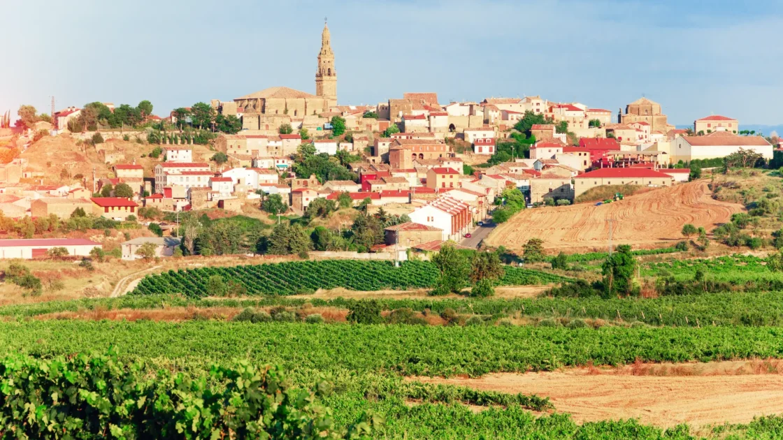 Briones above its vineyards, with the tower of the church of the Assumption, La Rioja, Spain