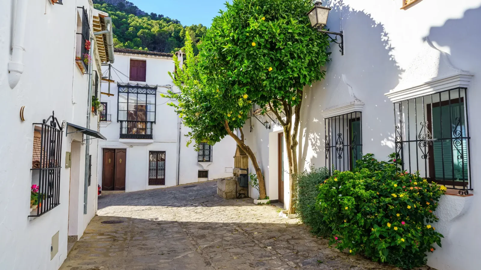 A quiet cobbled square with a lemon tree in a pueblo blanco, Andalucía, Spain