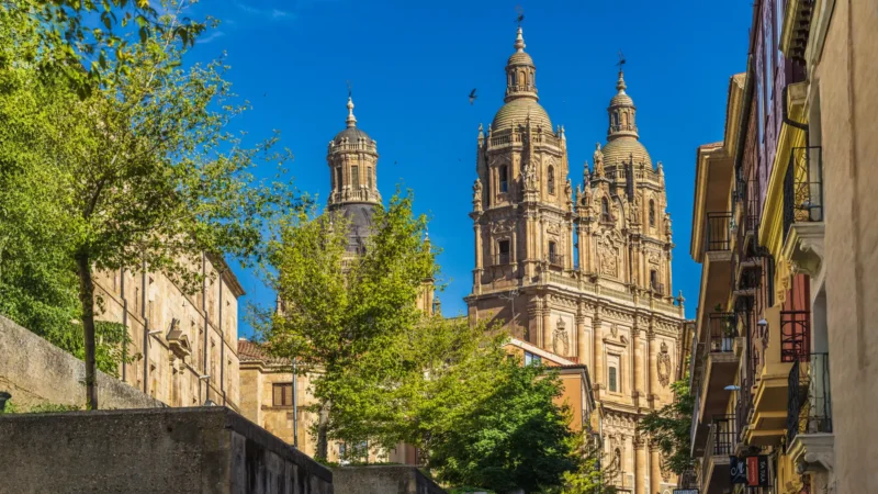 The baroque Scala Coeli towers of La Clerecía in Salamanca, Castilla y León, Spain