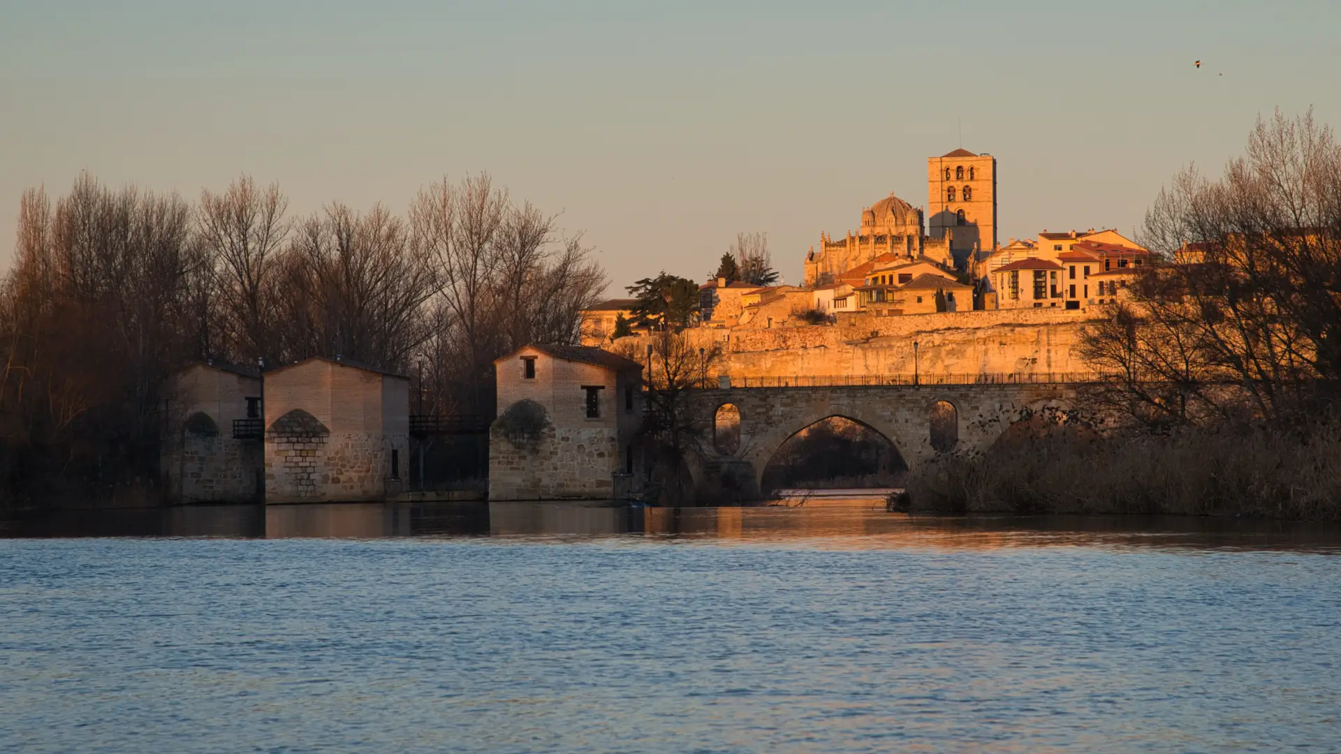 The Puente de Piedra and old-town skyline of Zamora at golden hour, Castilla y León, Spain