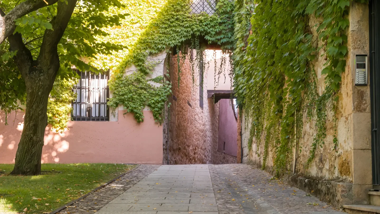 An ivy-covered stone gateway and cobbled lane in Zamora's old town, Castilla y León, Spain